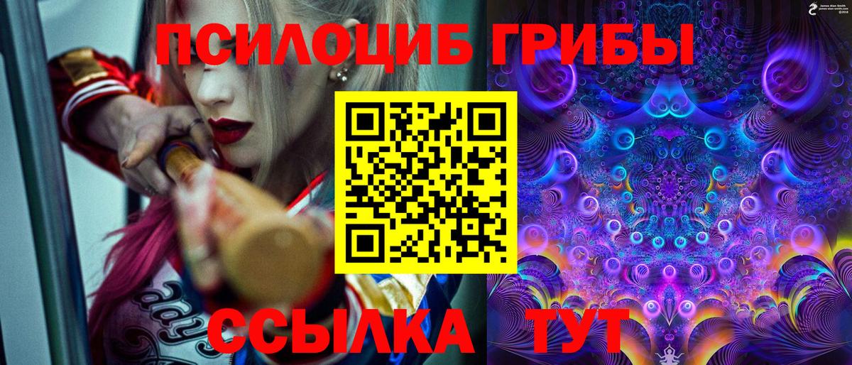Псилоцибиновые грибы MAGIC MUSHROOMS Кимры