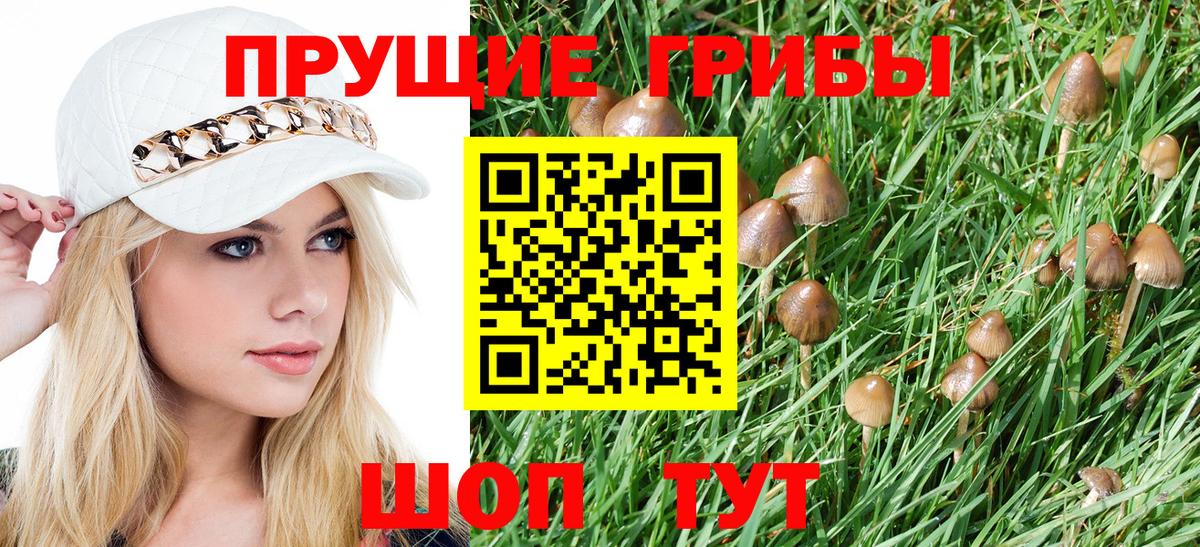 Галлюциногенные грибы мухоморы  Вход с VPN  Галлюциногенные грибы Magic Shrooms  Кимры 